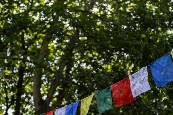 Yogafestival Lingen | 