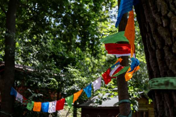 Yogafestival Lingen | 