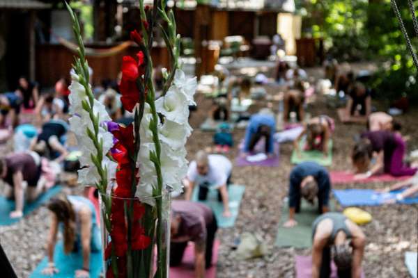 Yogafestival Lingen | 